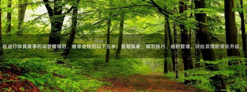 在进行体育赛事的运营管理时,通常会经历以下五步:前期准备、规划执行、组织管理、评估反馈和优化升级。
