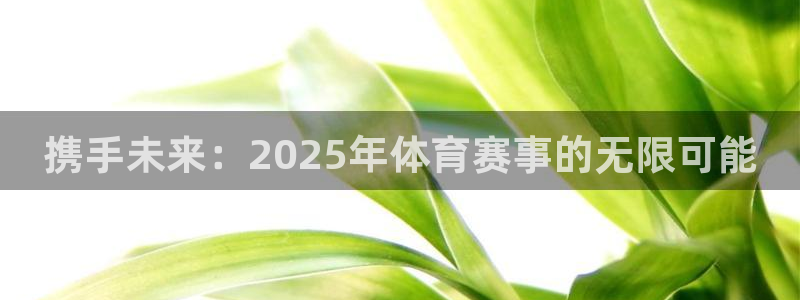 携手未来:2025年体育赛事的无限可能