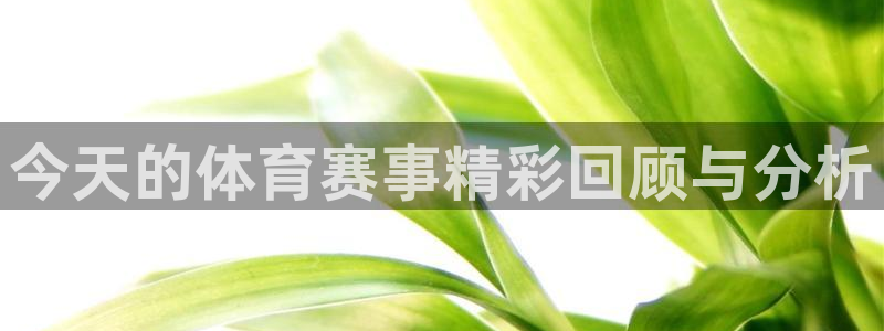 今天的体育赛事精彩回顾与分析